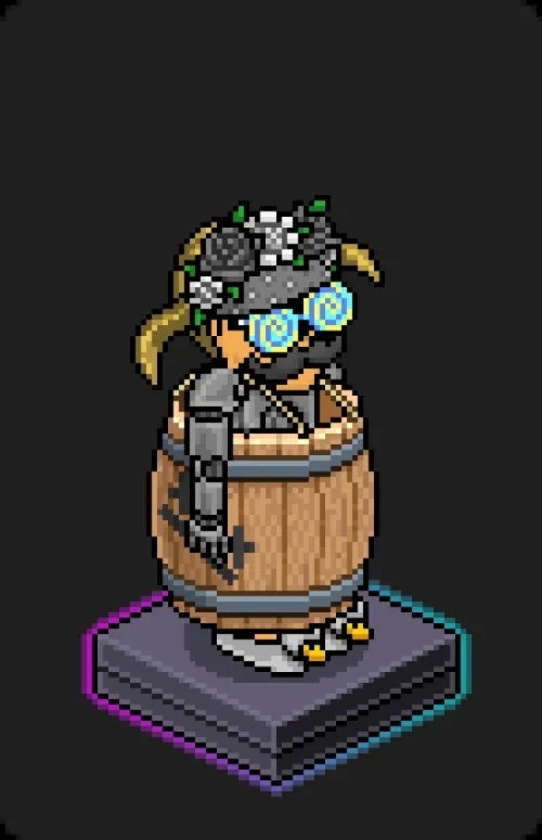Habbo Crafted Avatar #685