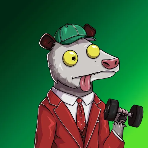WTF Opossum #63