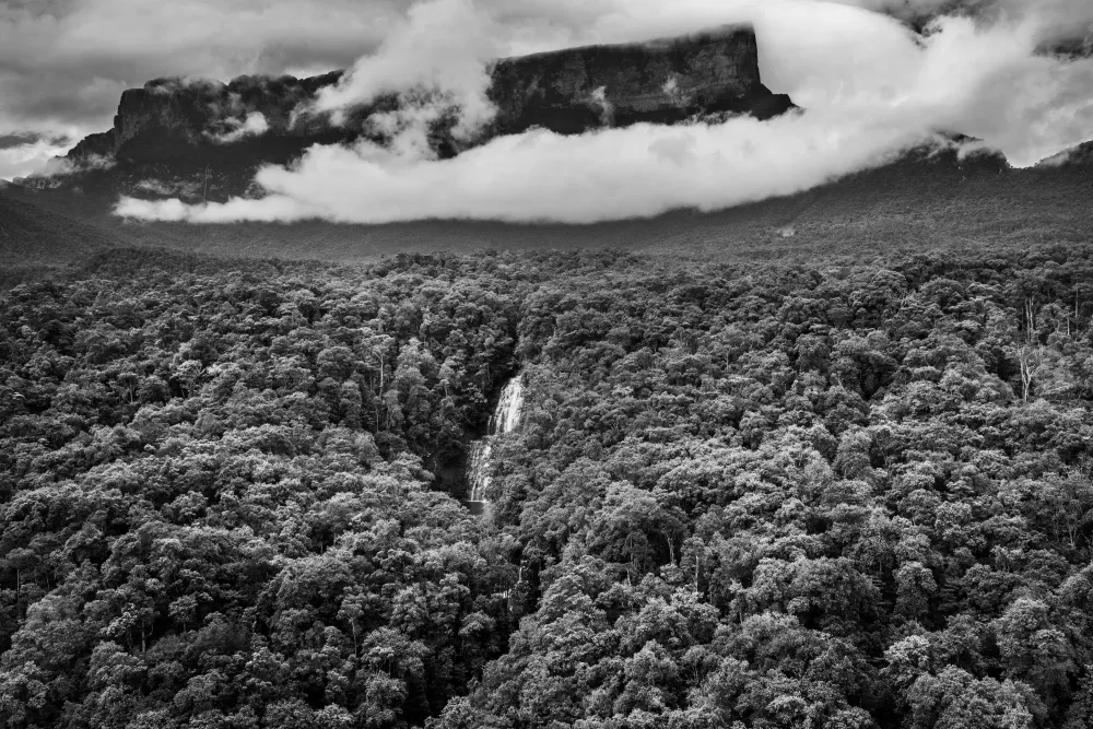 Amazonia - Sebastiao Salgado #2295