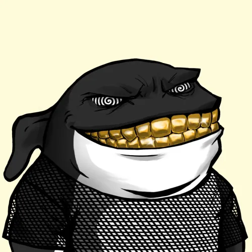 Whale 584