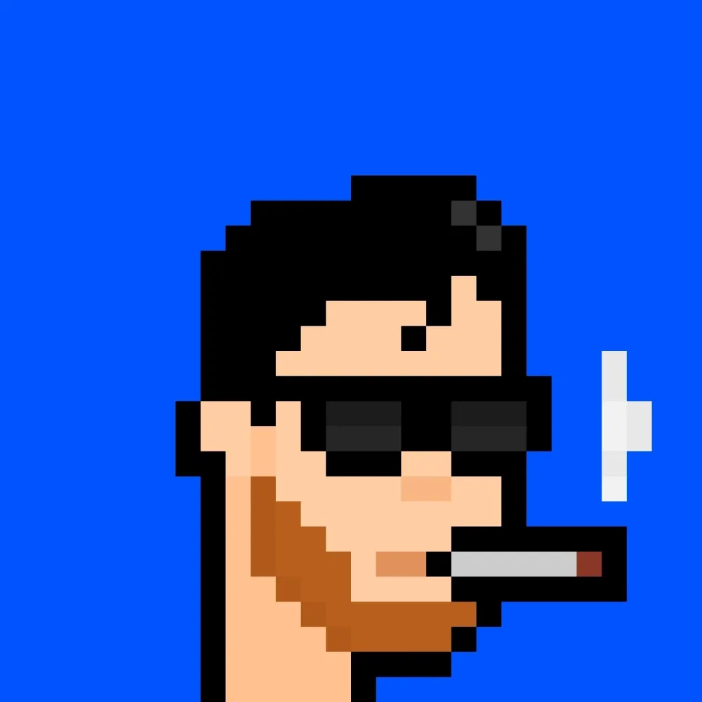 888xPunks #31