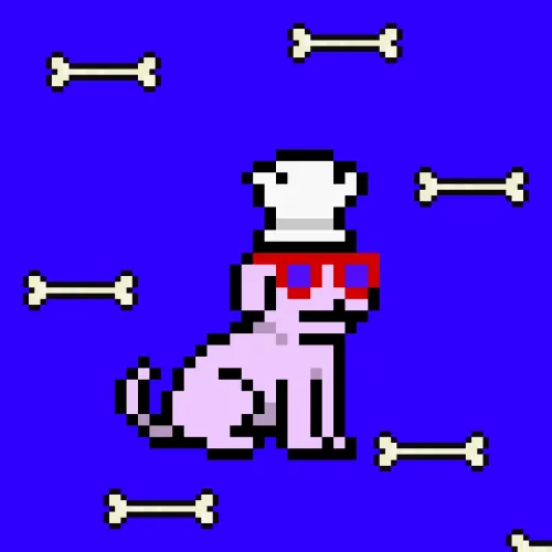 PUPZ #169