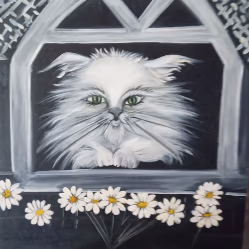 white cat