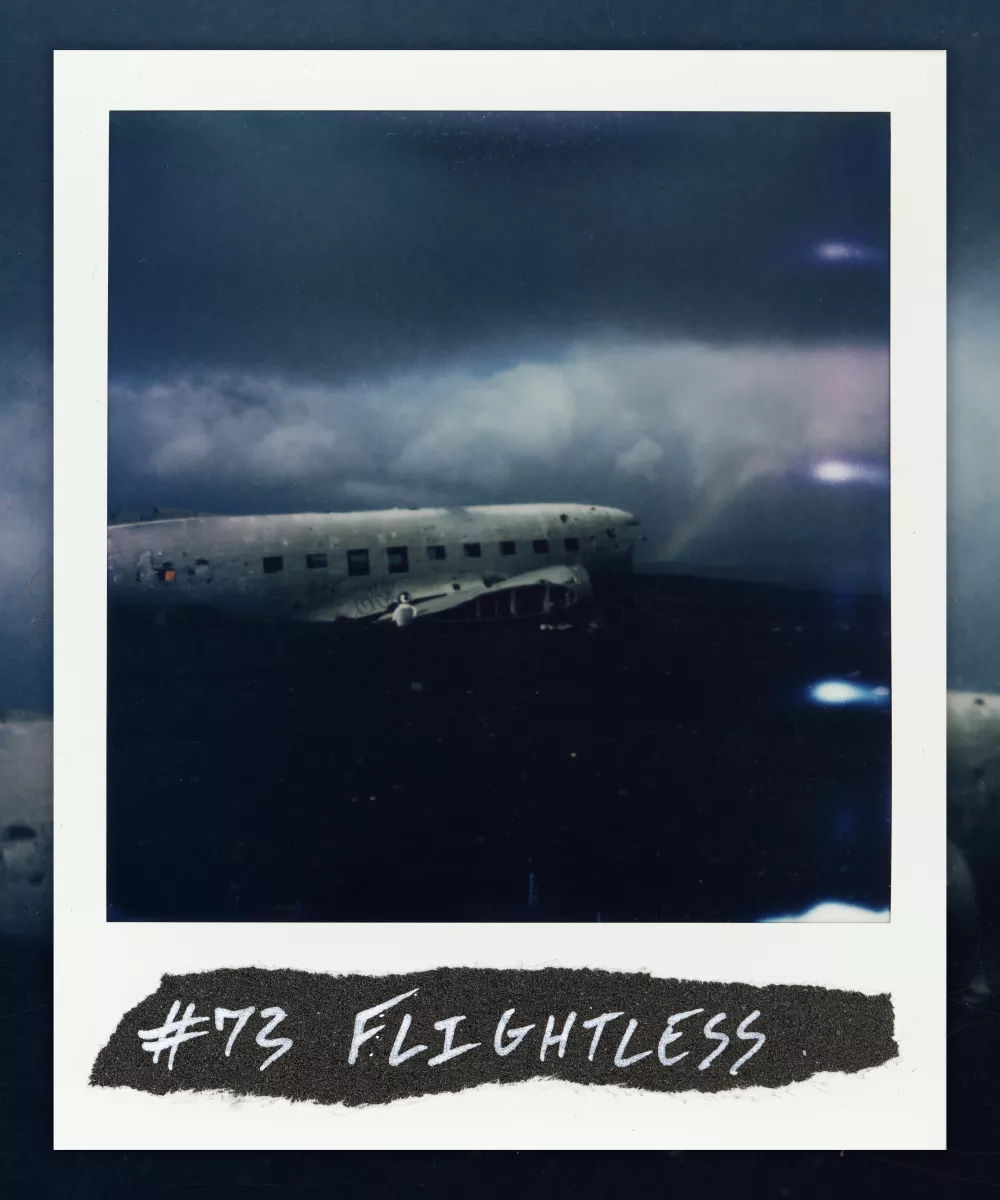  #73
