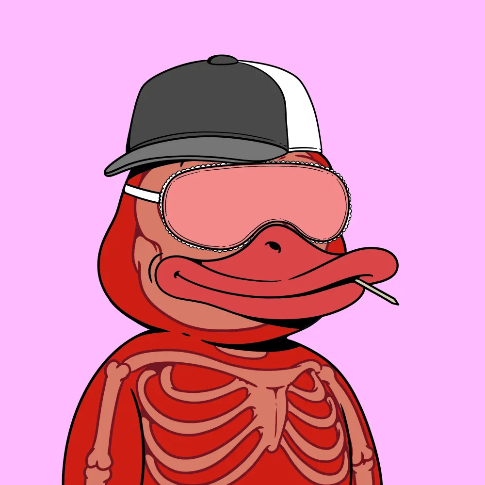 Duckboo #571