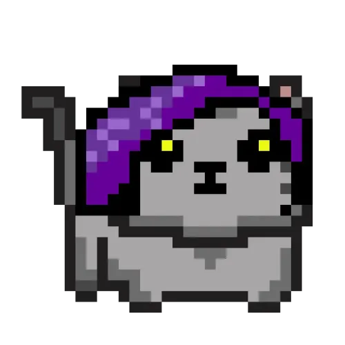 Cat #317