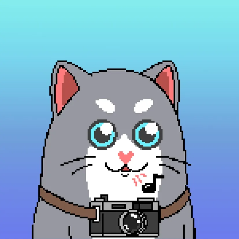 Liberty Cats