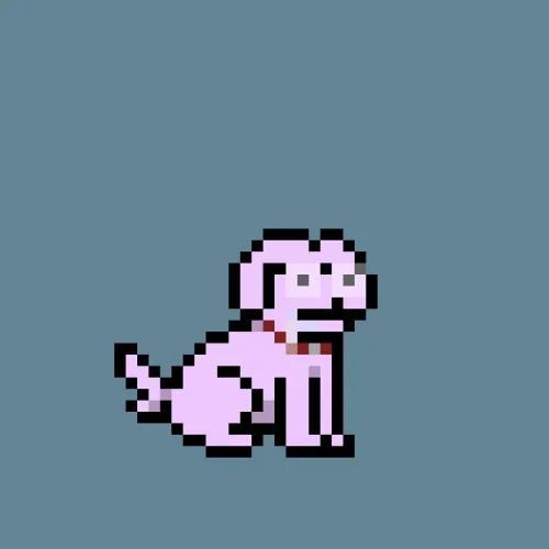 PUPZ #897