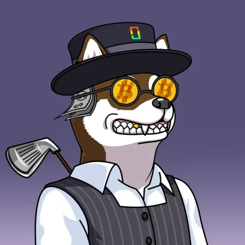 SOLDOGE #10