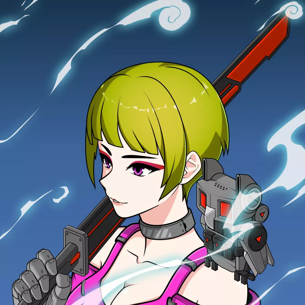 CyberRonin #4078
