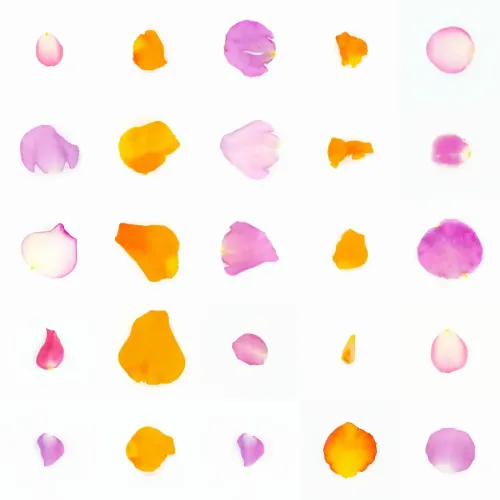 Infinite Petals 5x5#21148