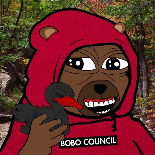 Bobo Council #861