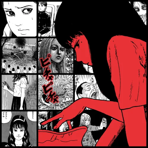 #518