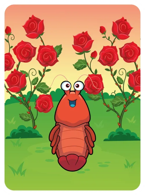 Sufficient Shrimp #16943