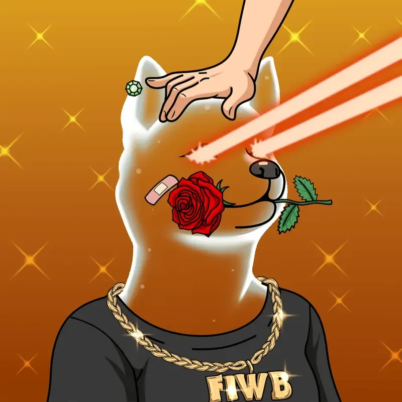 SOLDOGE #89
