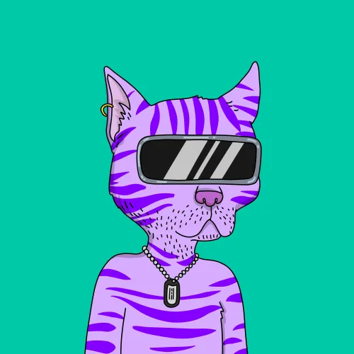 GutterCat #1804