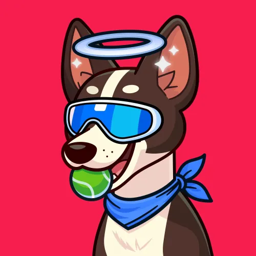 Basenji #163