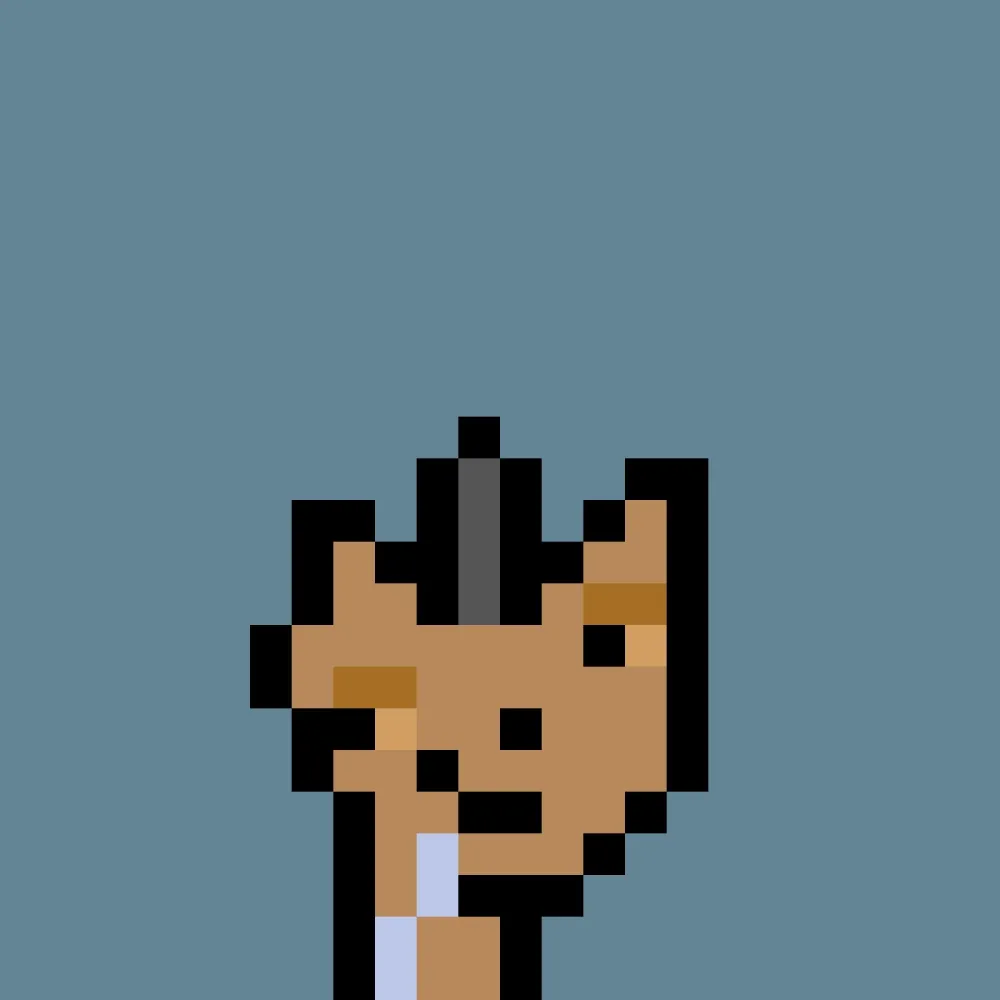 PNUKS #4164
