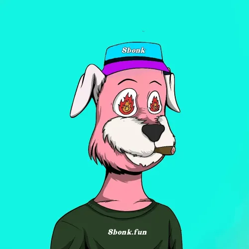 SBONK #24
