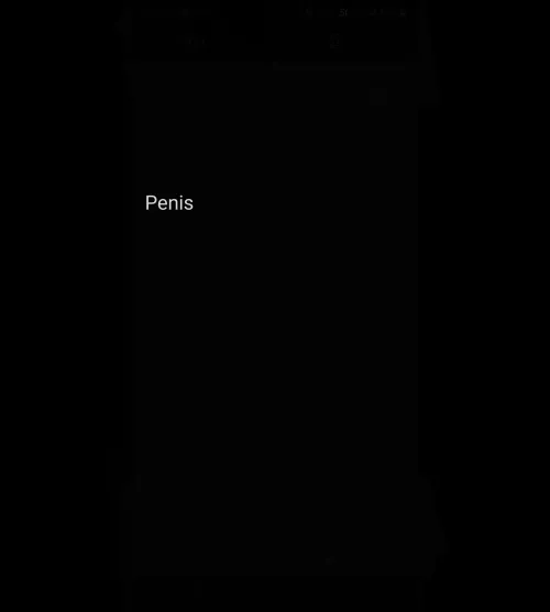 Penis #44520