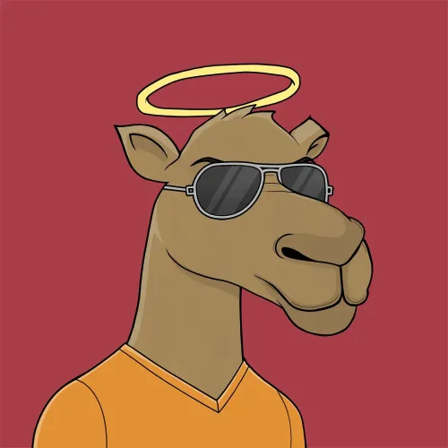 Camel #1551