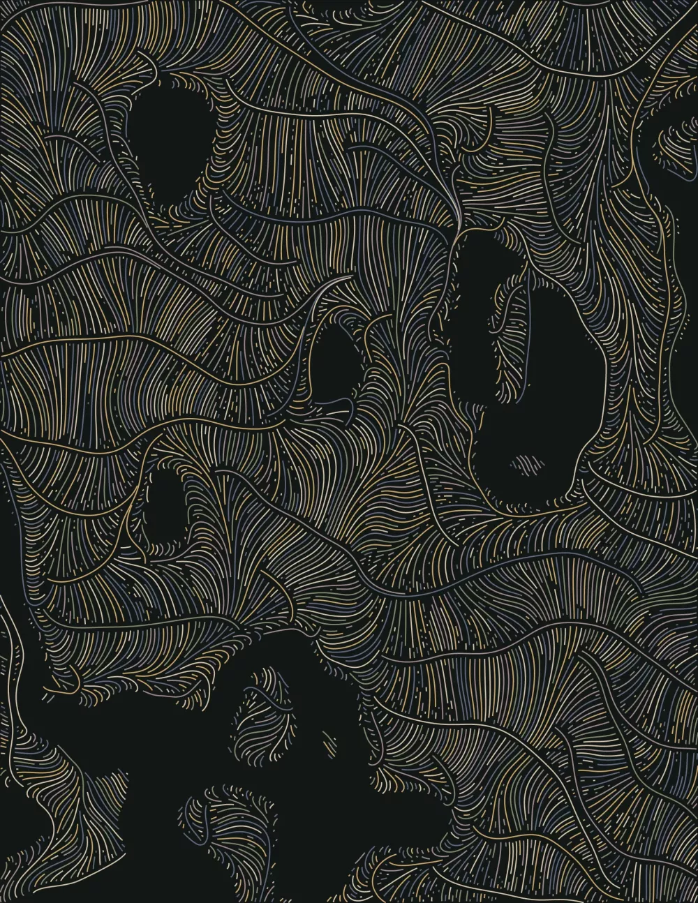 Streamlines #463