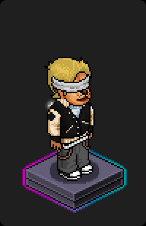 Habbo Crafted Avatar #147