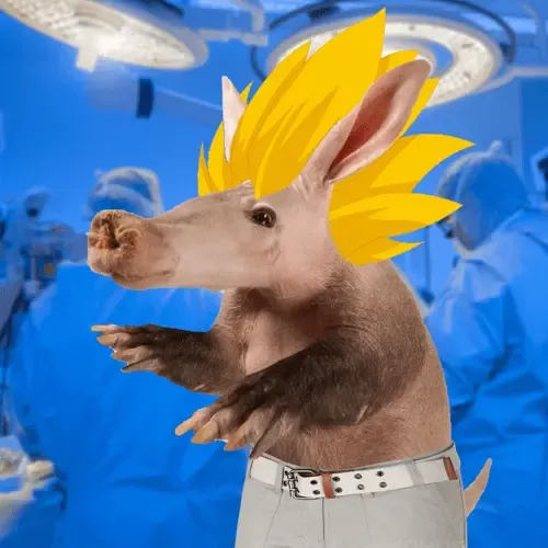 Aardvarks - Non Fungible Aardvarks #981