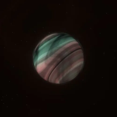 D16P1556 (#93907008)