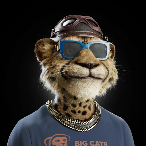 Big Cat #1635