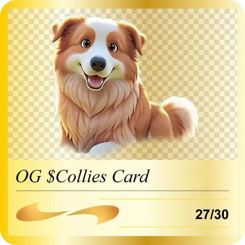 OG Collies27