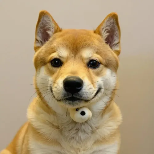 dog #15