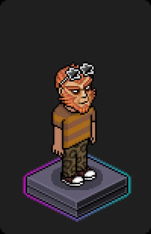 Habbo Crafted Avatar #818