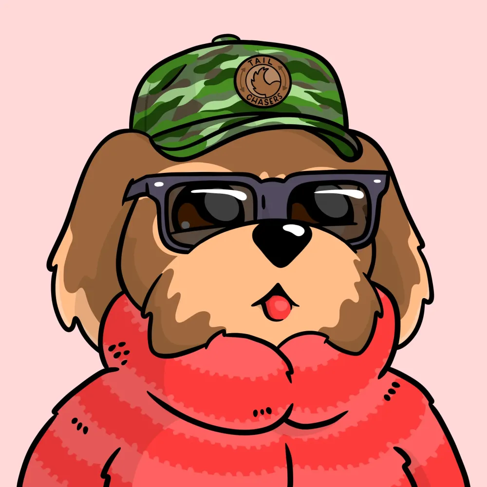 BoDoggos #2164