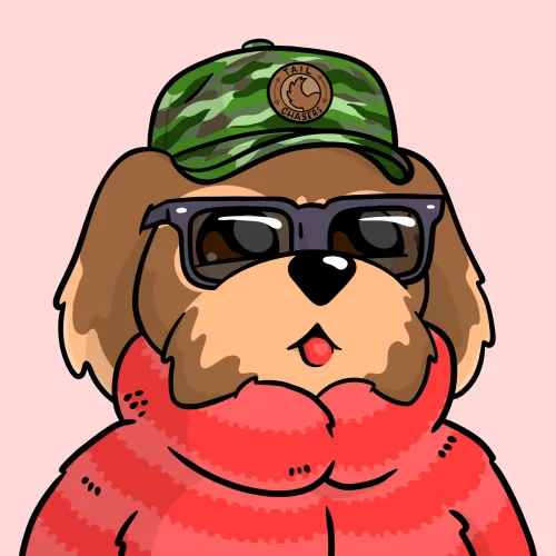 BoDoggos #2164