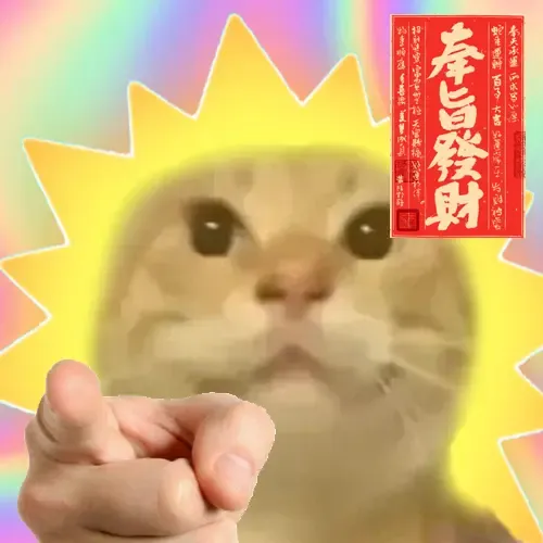 maodie the cat #1453