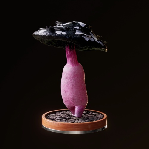 Fungi #1384