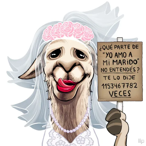 Llama #500