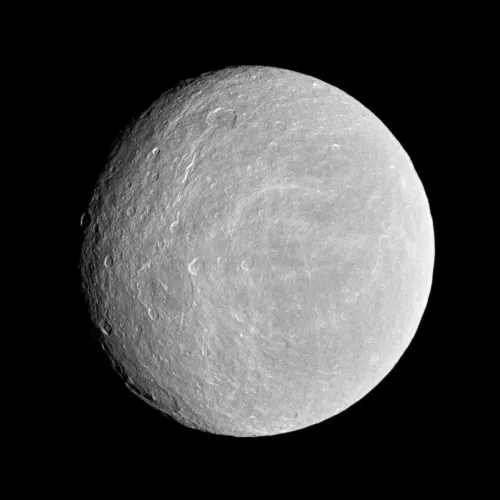 Rhea #365