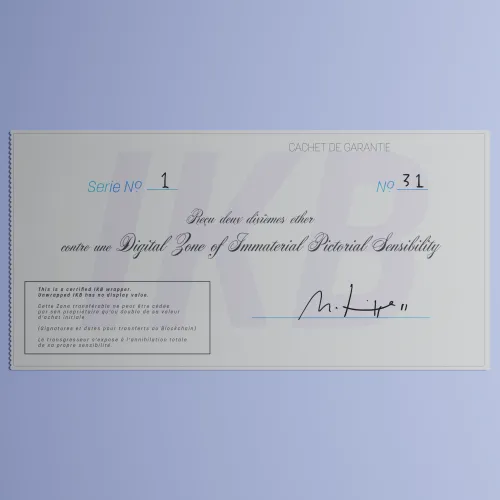 Digital Zone of Immaterial Pictorial Sensibility, Series 1, Edition 31. (Wrapped) #31
