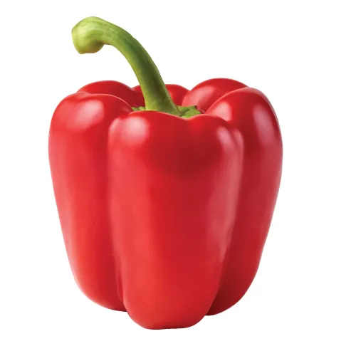 Bell pepper #17