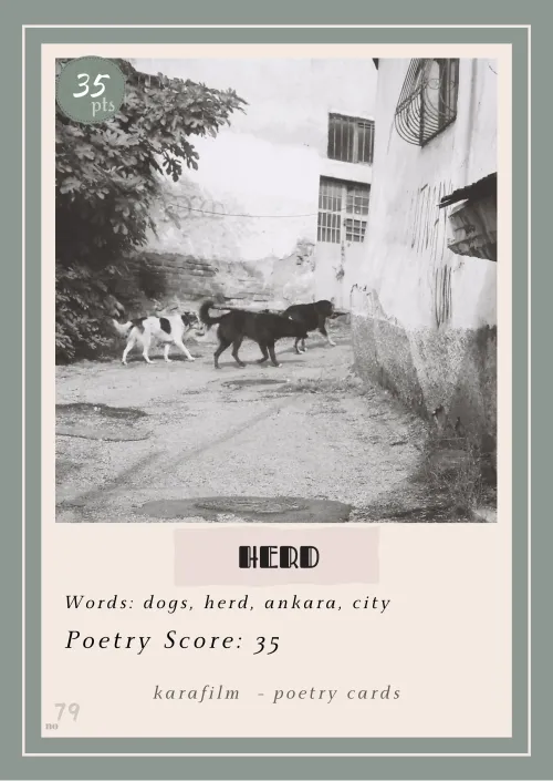 POETRY CARDS 79