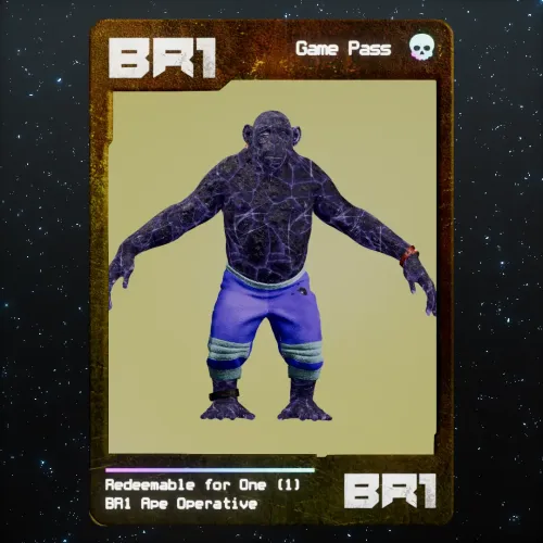 BR1 Character #1743