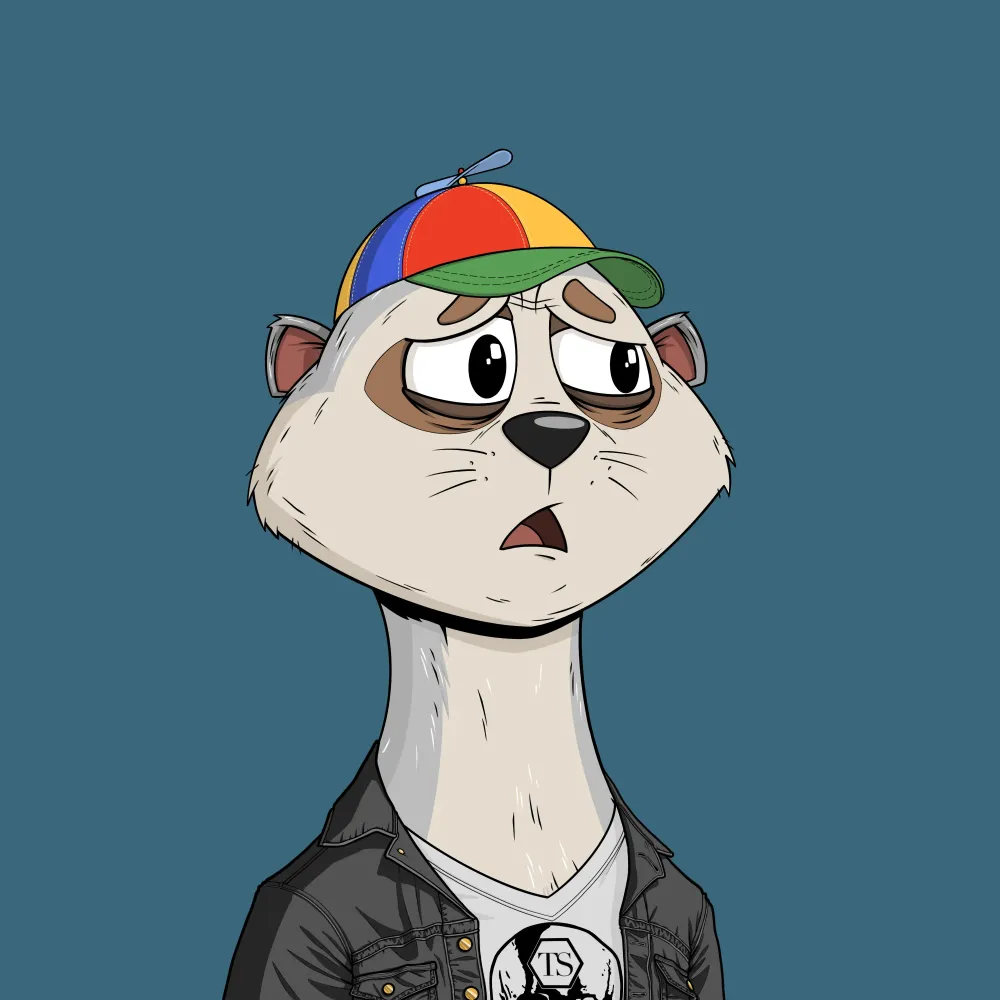 Worried Meerkat #672