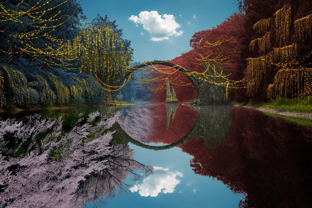 Reflection #487