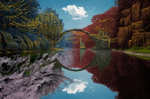 Reflection #487