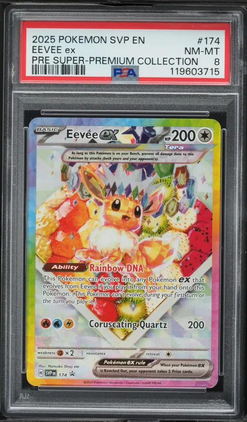 2025 #174 Eevee EX PSA 8 Svp EN-