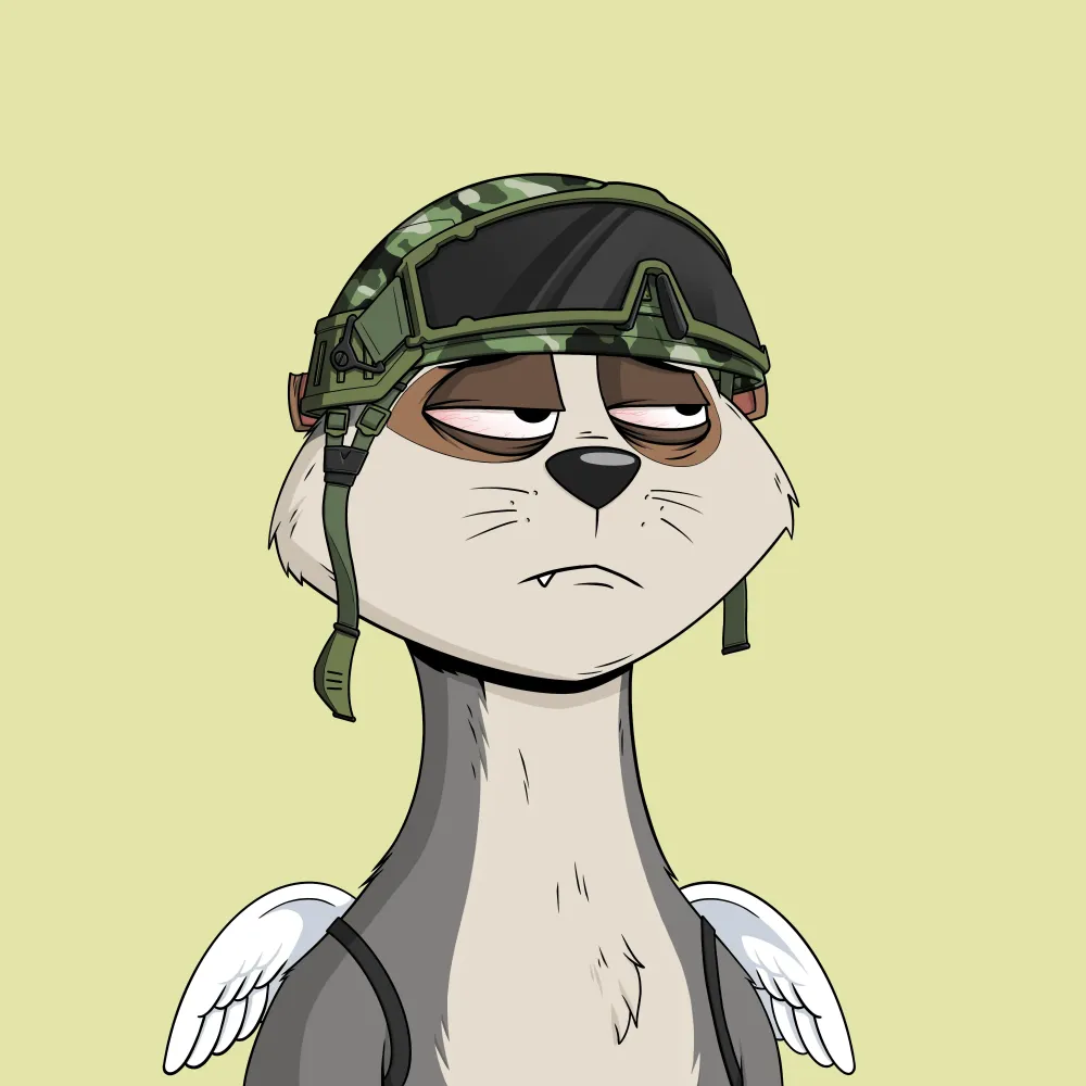Worried Meerkat #1146
