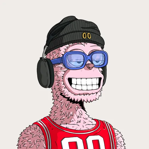 y00t #1897