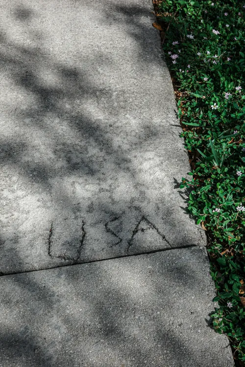 Sidewalk Stories 339